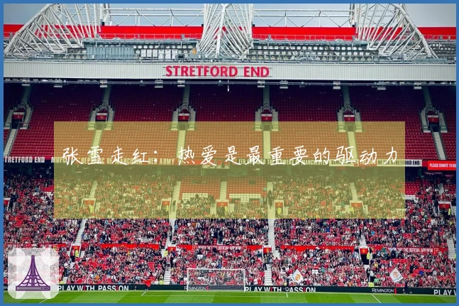 张雪走红：热爱是最重要的驱动力